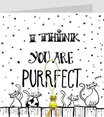 I think you are purrfect 1
