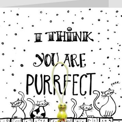 I think you are purrfect