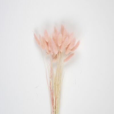 SET OF 30 VINTAGE PINK BUNNY TAILS