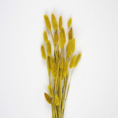 SET OF 30 MUSTARD YELLOW BUNNY TAILS