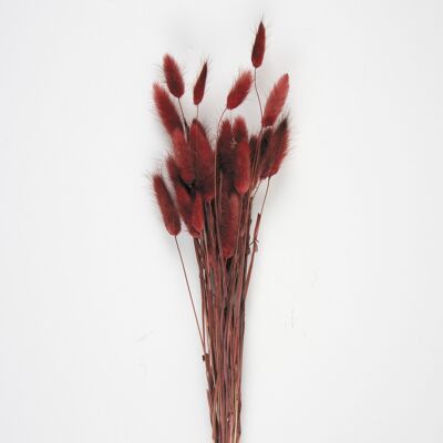 SET OF 30 BUNNY TAILS MARSALA