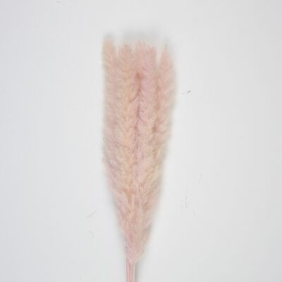 SET OF 5 VINTAGE PINK PAMPAS SOFT TOY