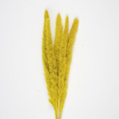 SET OF 5 PAMPAS DOUDOU MUSTARD YELLOW