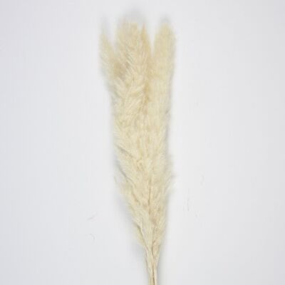 SET OF 5 NATURAL WHITE PAMPAS COMFORTERS