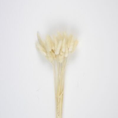 SET OF 30 NATURAL WHITE BUNNY TAILS