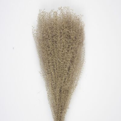 SET OF 10 PAMPAS LIGHT NATURAL BROWN