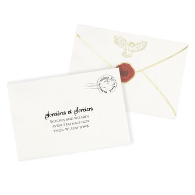 30X20CM NAPKINS ENVELOPE SORCERER'S APPRENTICE X 16