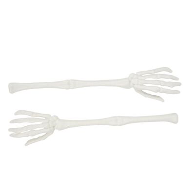 WHITE SKELETON ARMS X 2