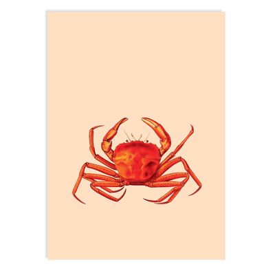 Postcard Heading East (Crab)