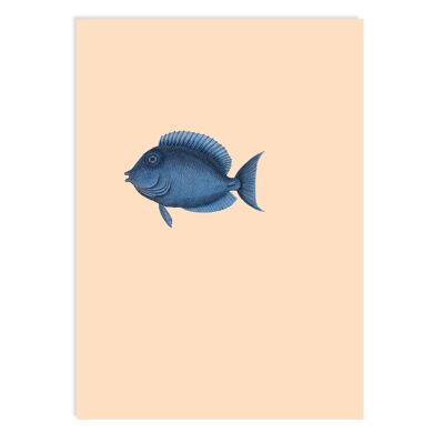 Carte postale Presque là (Poisson)