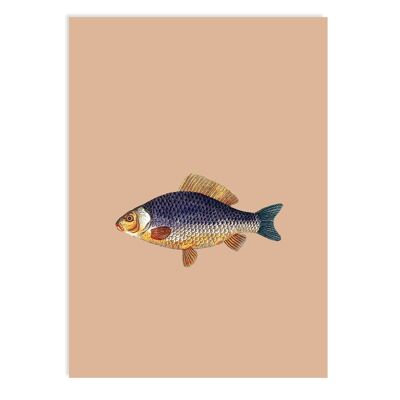 Postkarte Cyprus (Fisch)