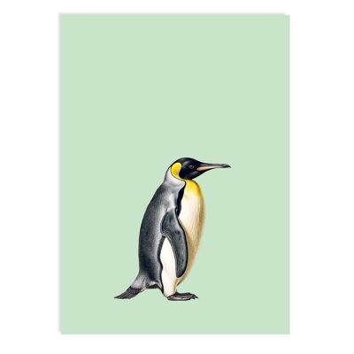 Postkarte Theresa (Pinguin)