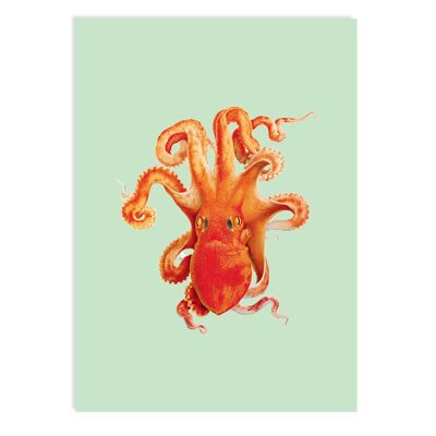 Postkarte Devotion (Oktopus)