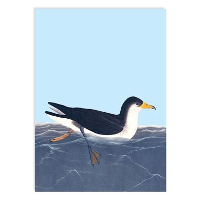 Carte postale tout en mer