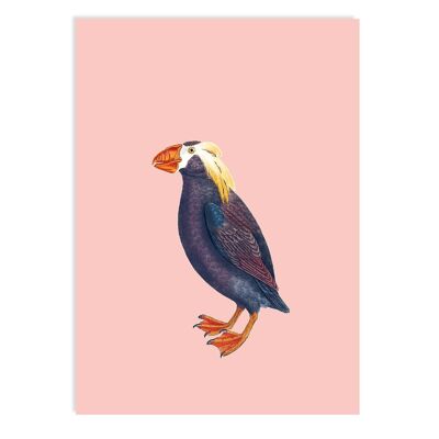 Postcard Puffin