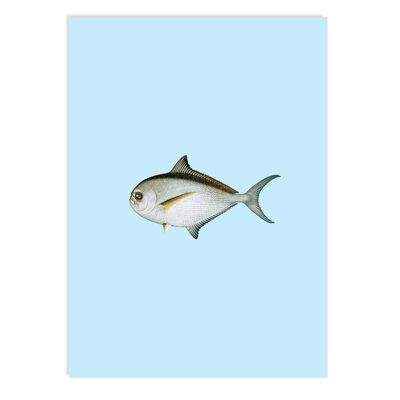 Cartolina Hello Darlin' (Piranha)