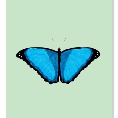 Gift tag Reflection (butterfly)