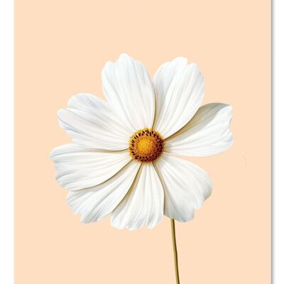 Gift tag Cosmea (jewelry basket flower)