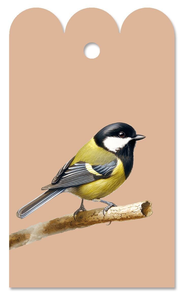 Etiqueta de regalo Just Friends (Meise)