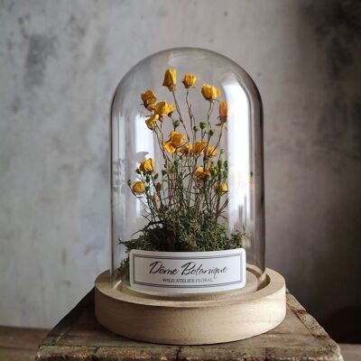 Botanical dome "Buttercup", dried flower bell - Small