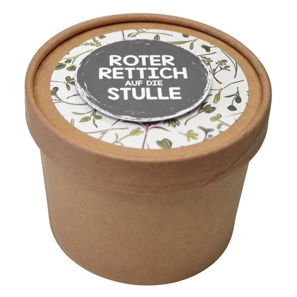 Microgreens red radish for sowing for salad