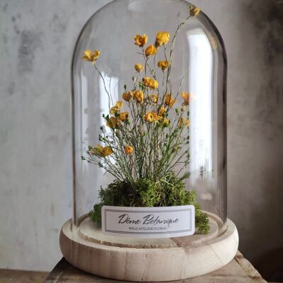 Botanical dome "Buttercup", dried flower bell - Large