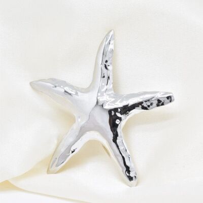 Stainless steel brooch -BH500038