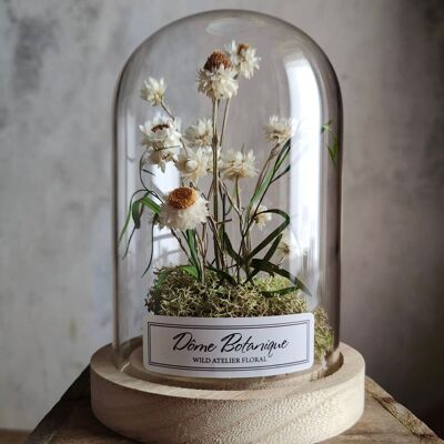 Botanical dome "Immortelle des sables", dried flower bell - Medium