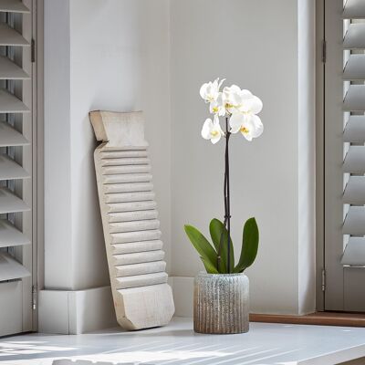Verre Frosted Ribbed Glass Planter H21Cm W21Cm