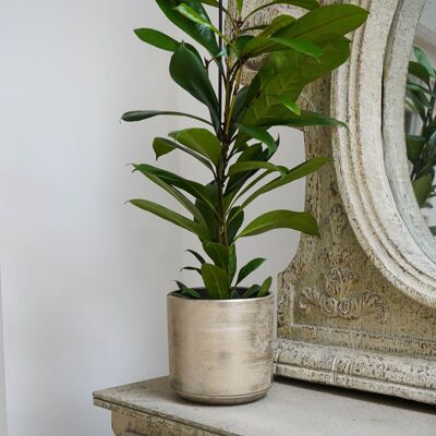 Fioriera Tivoli Bianco Oro H15CM P17CM