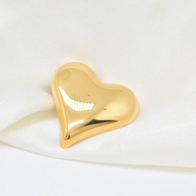 Broche en acier inoxydable -BH500040
