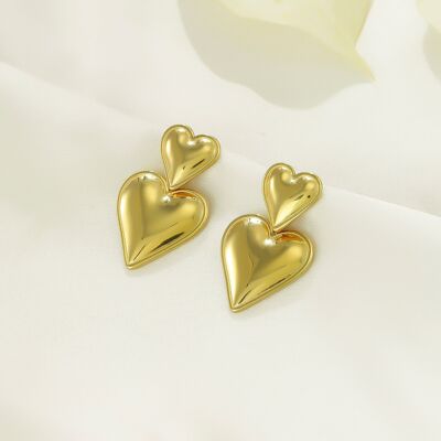 Boucles d'oreilles en acier inoxydable -BO100366