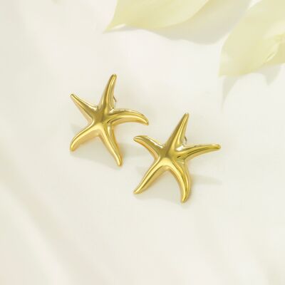 Stainless steel earrings -BO100368