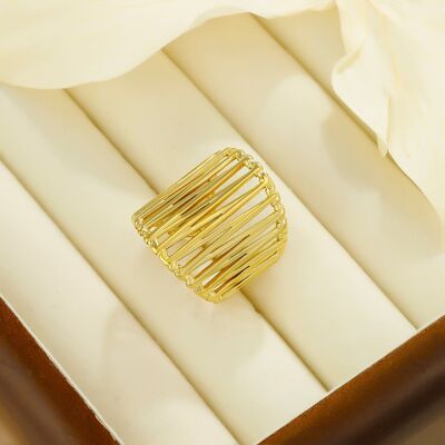 Stainless steel ring - BG310216