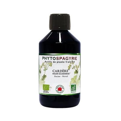 Cardere plant phytospagyria* 300ml