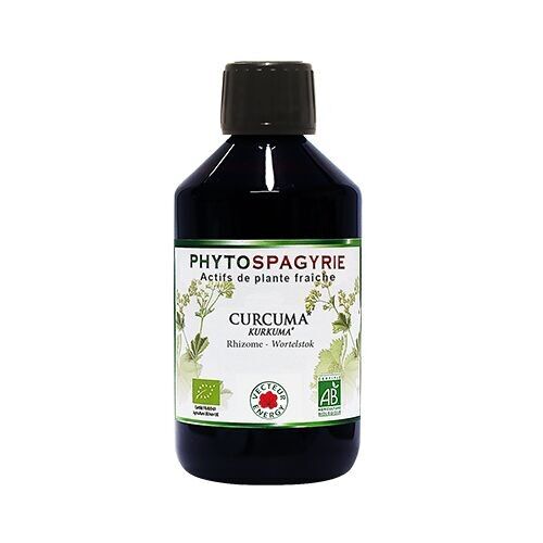 Planta Phytospagyria Cúrcuma* 300ml