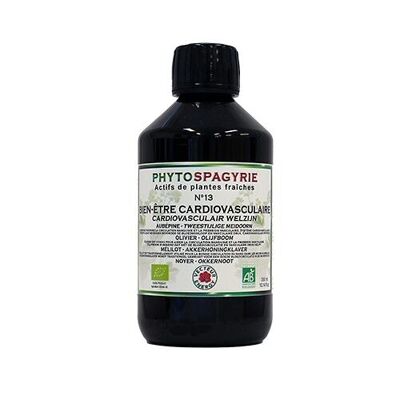Phytospagyrie Synergies N13*: CARDIOVASCULAR WELL-BEING 300ml