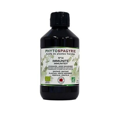 Synergies Phytospagyria N14*: IMMUNITY / DEFENSE 300ml