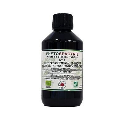 Phytospagyrie Synergies N19*: TRANSIENT MENTAL AND OXIDATIVE STRESS 300ml