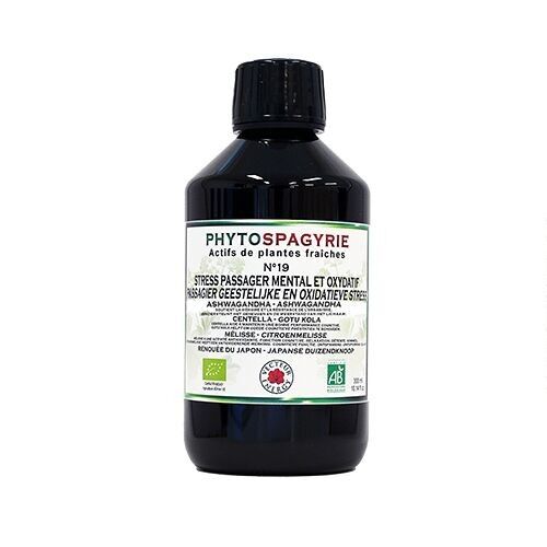 Phytospagyrie Synergies N19*: VORÜBERGEHENDER MENTALER UND OXIDATIVER STRESS 300 ml