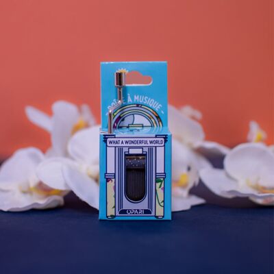 "What a wonderful world" music box