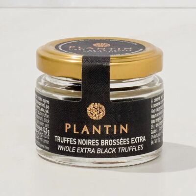 Extra Brushed Black Truffles from Provence 12.5 g - 3 Whole Truffles