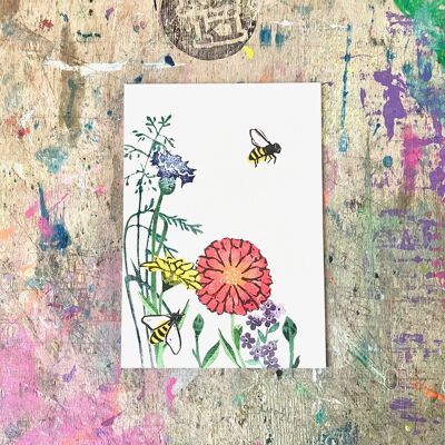 Postcard Summer Meadow