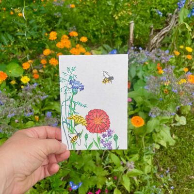 Postkarte Sommerwiese