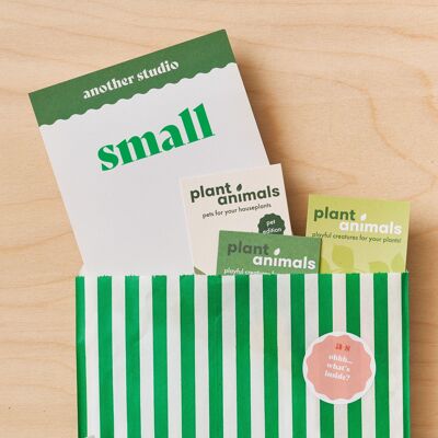 Small Mystery Sample bag