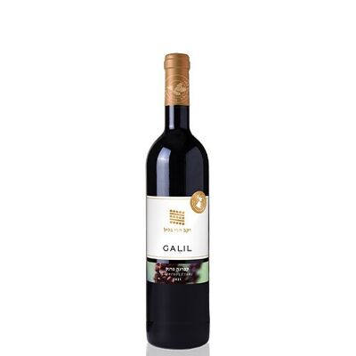 GALIL CABERNET FRANC 2021