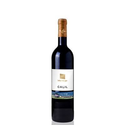 GALIL CABERNET SAUVIGNON 2021