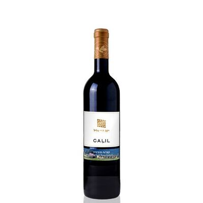 GALIL SYRAH 2021