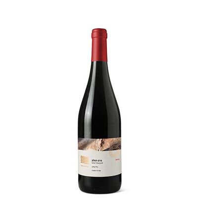 VIÑEDO GALIL SELA 2018