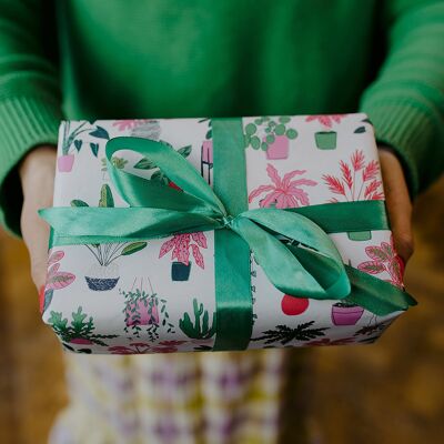 Papier d'emballage pour plantes d'intérieur